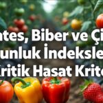 Domates, Biber ve Çilekte Olgunluk İndeksleri: 7 Kritik Hasat Kriteri