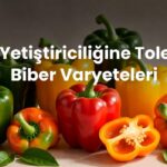 Saksı Yetiştiriciliğine Toleranslı Biber Varyeteleri