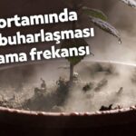 Saksı Ortamında Yüzey Buharlaşması ve Sulama Frekansı