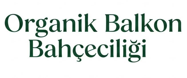 Saksıda ve Balkonda Sebze Yetiştirme Uygulama Rehberi