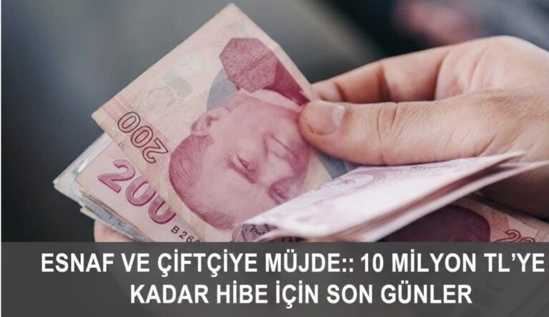 ESNAF VE ÇİFTÇİYE MÜJDE! DEVLET KESENİN AĞZINI AÇTI: 10 MİLYON TL’YE KADAR HİBE İÇİN SON GÜNLER