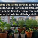 Balkonda Sebze Yetiştirirken Nelere Dikkat Edilmeli?