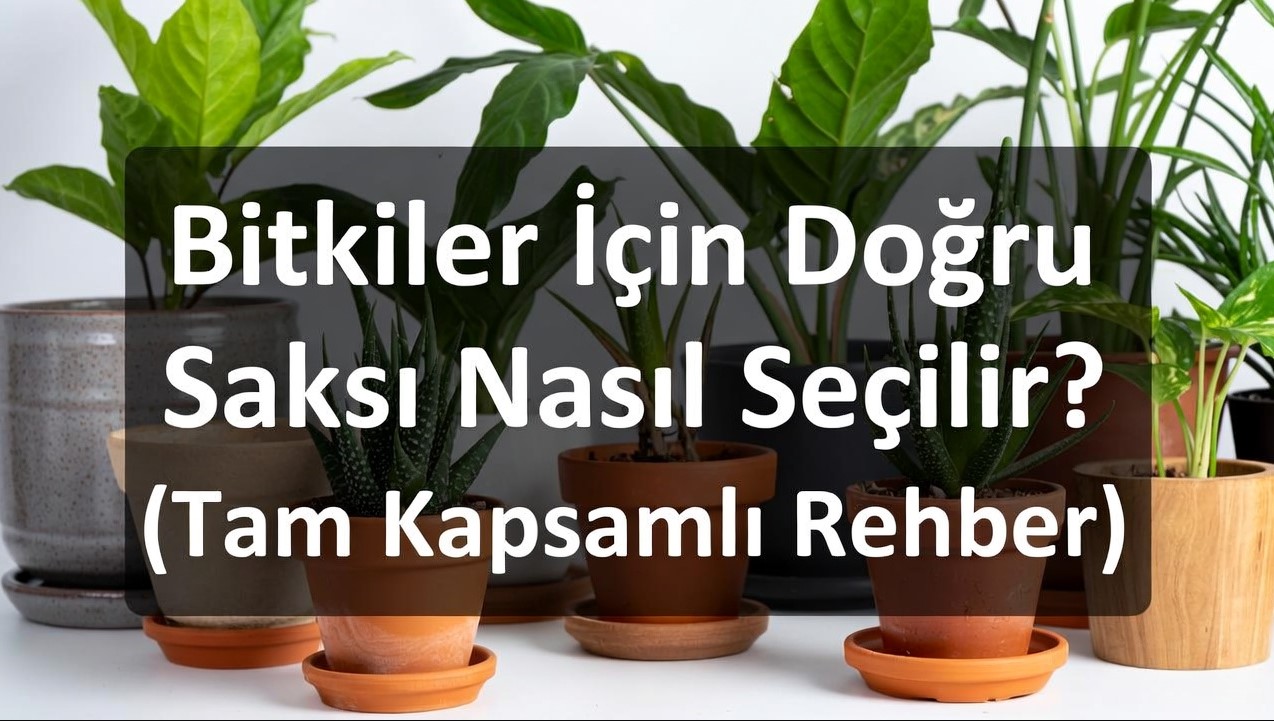 "Bitkiler İçin Doğru Saksı Nasıl Seçilir? (Tam Kapsamlı Rehber)" yazan arka plan başlıkla uyumlu bir öne çıkan görsel oluştur.
