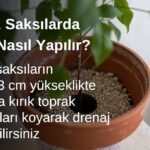 Deliksiz Saksılarda Drenaj Nasıl Yapılır?