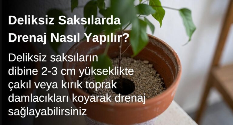 Deliksiz Saksılarda Drenaj Nasıl Yapılır?