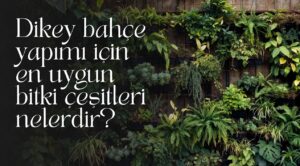 Dikey Bahçe Yapımı İçin En Uygun Bitki Çeşitleri Nelerdir?