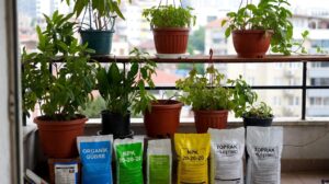 Gübre Nedir, Nasıl Kullanılır? Hangi Gübreyi Kullanmalıyız?