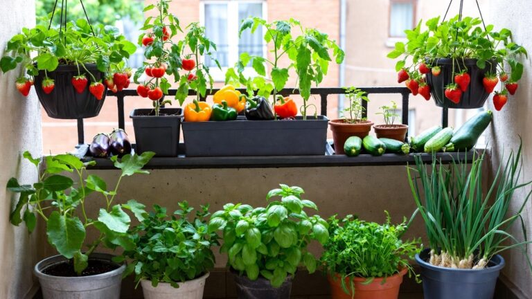 Yaz Aylarında Ekilen Meyve Ve Sebzeler Hangileridir?